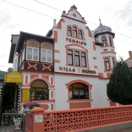 Pension Villa Broedel Bad Blankenburg Bagian luar foto